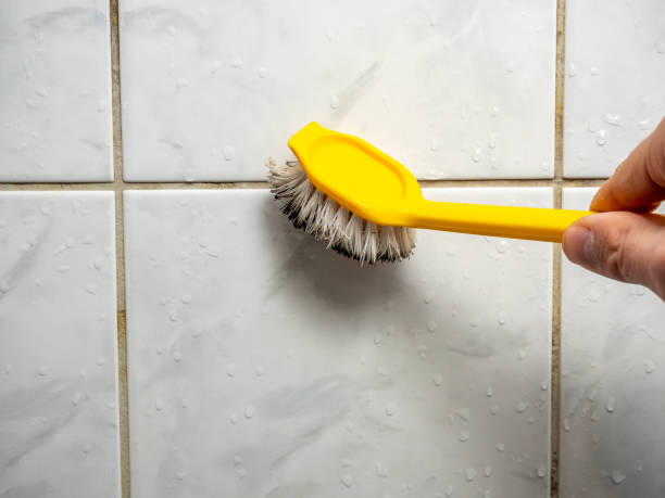 Best Mold Testing  in Peotone, IL