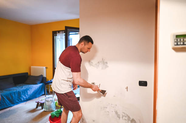 Best Mold Testing  in Peotone, IL